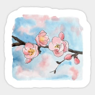 Cherry blossom Sakura Sticker